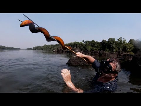 JE PLONGE EN AMAZONIE POUR TROUVER DES APPÂTS - Cyril Chauquet