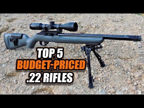5 Budget Priced .22 Rifles Under $200 for Beginners (2022)