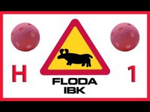 2015-11-11  Period 2 - Floda IBK vs Alingsås IBK Canon Kameran