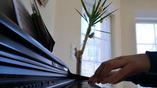 Kayef - Paradies (Pianocover) | kanistabula