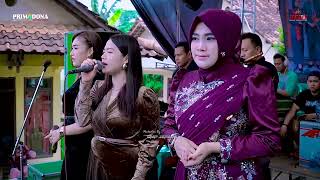 Download lagu PRIMADONA JAYA FULL ALBUM -WEDDING BANGUN DIWANTORO & SA’UDAH -JATISARI NALUMSARI JEPARA - ROE AUDIO mp3