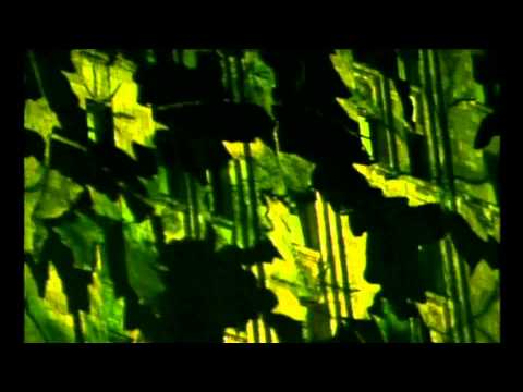 Jean Michel Jarre - Oxygene 4 [Oxygene in Moscow]