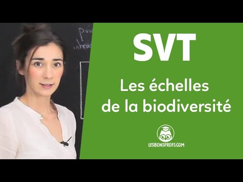 Les échelles de la biodiversité