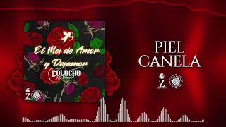 De Piel Canela Music Video