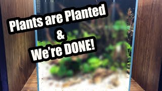 Subscriber Built Aquarium Part 4 - Planting & Livestock