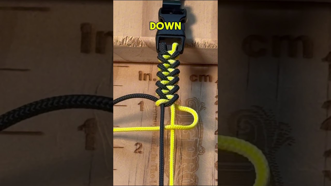 Shark Jawbone Bracelet  (Type 1 cord)