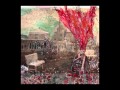 fire on fire: assanine race
