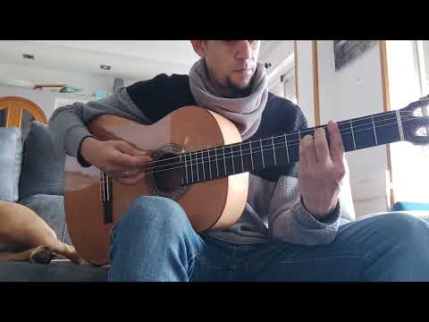 Pepe y Vizio, Delaossa - El Patio cover guitarra