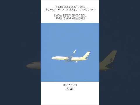 B737-800 Jinair (from Japan to Korea)