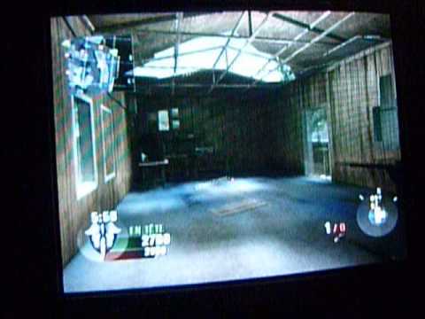 Palace pour Chiens Wii