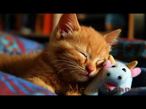 Martin Sas - Colours of Life (Original Mix) HQ