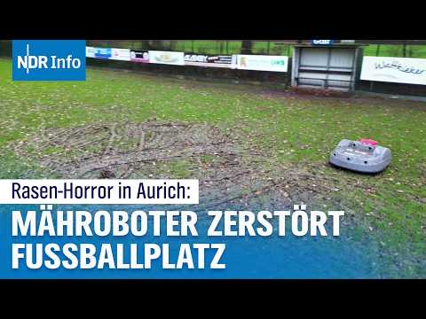 Ostfriesland: Mähroboter verwüstet Fußballplatz in Aurich | NDR Info