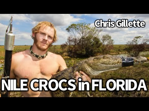 How Nile Crocodiles Invaded Florida