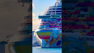 Norwegian Aqua 🛳️  #share #comment #subscribe #cruiseship #cruise #vacation #shorts #short #fun #yt
