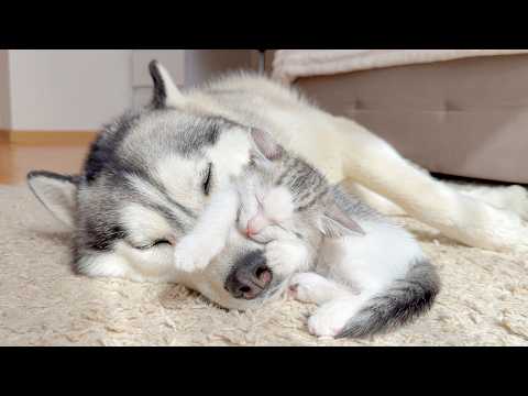 YouTube 썸네일