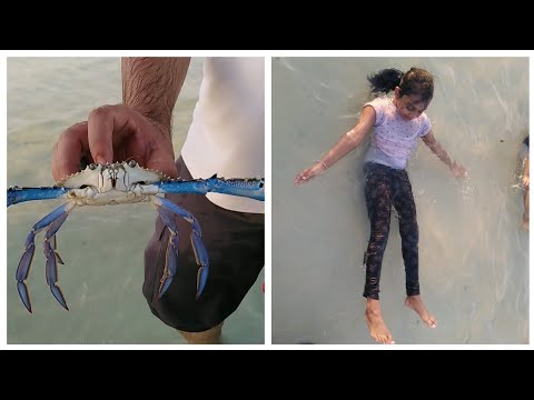 Introducing a beautiful beach in JUBAIL SAUDI ARABIA //Weekend vlog // Safwan's vlog