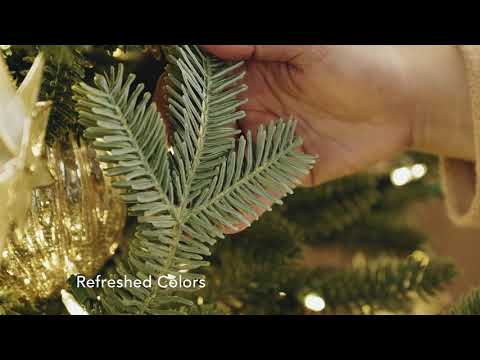 まったく新しい BH Fraser Fir®: 概要 |バルサムヒル®