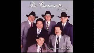Los Caminantes- Amor Sin Palabras