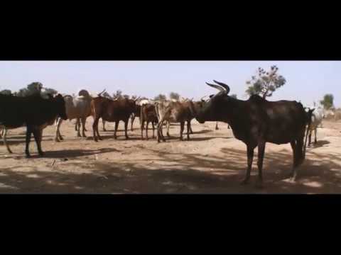 ADAMA DICKO | "Suudu Baaba Pulaaku" | JAMJAM