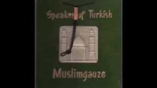 Muslimgauze ~ Shah of Persia