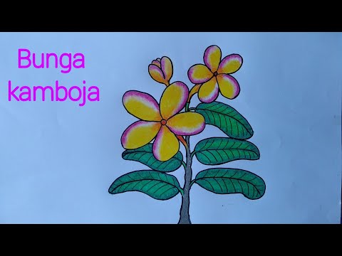 80 Gambar Bunga Tulip Dari Crayon Paling Keren Gambar Pixabay