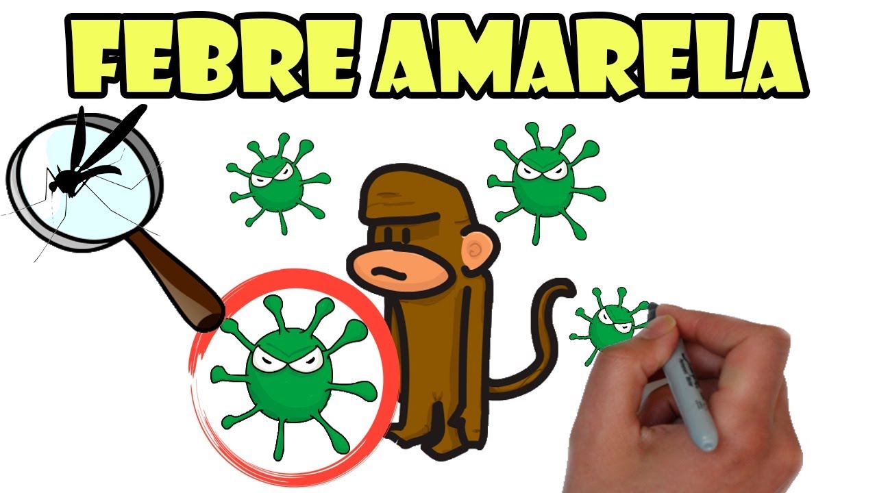 O que você precisa saber sobre Febre Amarela