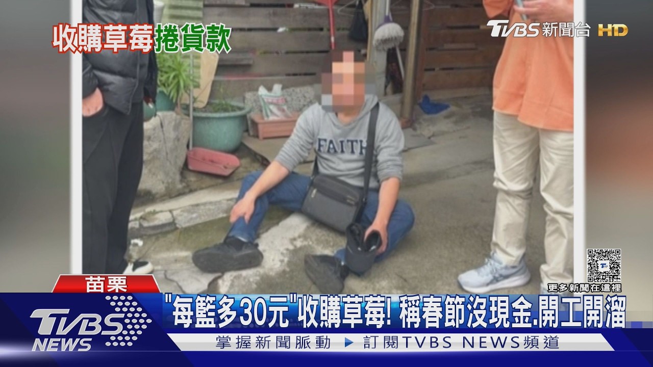 影音／「每籃多30元」誘騙農民！草莓盤商春節捲款　藏桃園落網