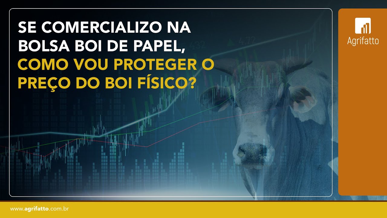 Entenda como funciona a trava do boi no mercado futuro e como você poderá proteger sua produção