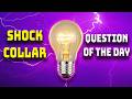 You Can't See Me (Shock Collar Trivia) 4/23/26 | Brooke and Jeffrey