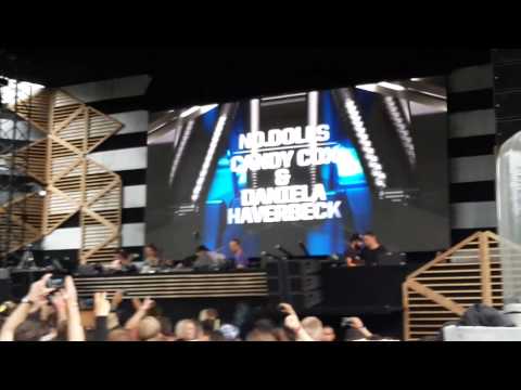 No.Dolls @ Awakenings festival 2015