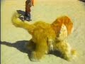 Classic Sesame Street Hide And Seek With Barkley 1979