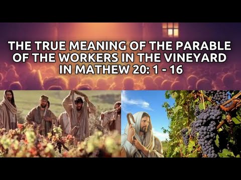 The True Meaning Of The Parable Of The Workers In The Vineyard in Matthew 20: 1 - 16