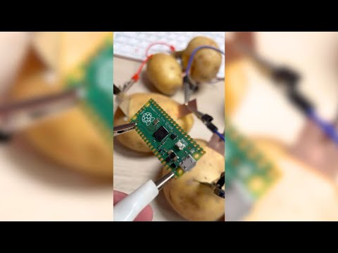 YouTube Thumbnail for Can you power a #RaspberryPi #Pico using Potato’s?