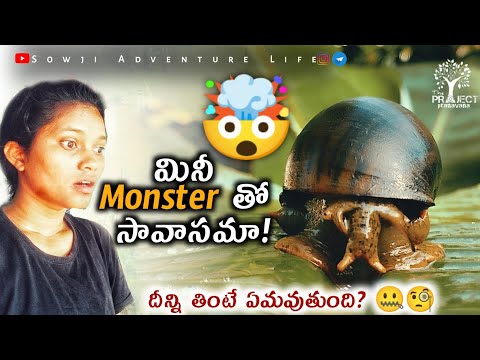 Beware of mini Monsters ⚠️🧐 | facts about snails 🐌 | By telugu