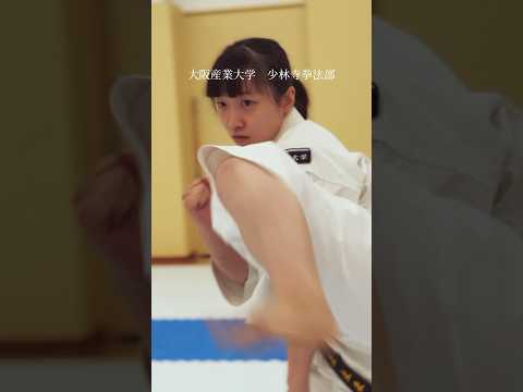 大阪産業大学　少林寺拳法部の紹介です。 #大阪産業大学 #少林寺拳法部#少林寺拳法#少林寺