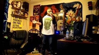 Dance Gavin Dance - Elder Goose ( Vocal Cover )