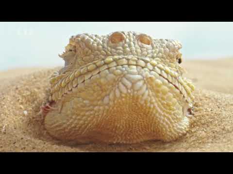 Volha 2/2 - Řeka se mění v moře