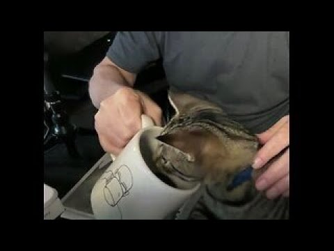 The Scott Adams School 02/02/26