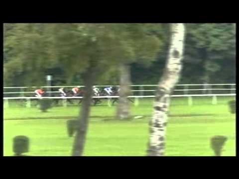 20. Cena Whisky - Estinaad