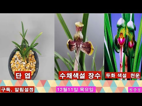 유튜브 썸네일