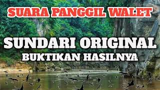 Download lagu SUARA PANGGIL WALET - SUNDARI ORIGINAL mp3 Download lagu SUARA PANGGIL WALET - SUNDARI ORIGINAL mp3