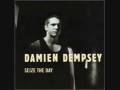 Damien Dempsey - It's All Good (Studio Version)