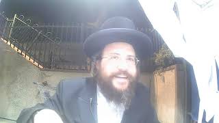 שיעור בזרע שמשון פרשת בהר בחוקותי תשפה הרב יצחק ליכטנשטיין גאולת ישראל נס ציונה