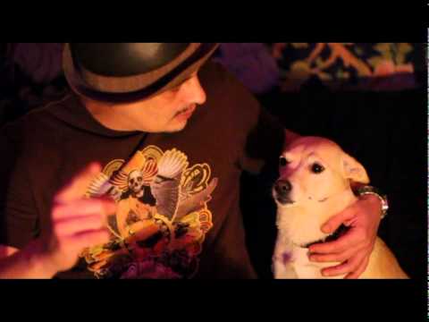 POSE OFF 11.12.2010 "Die Party für Hunde" DJ D-Tale & DJ Say Whaat