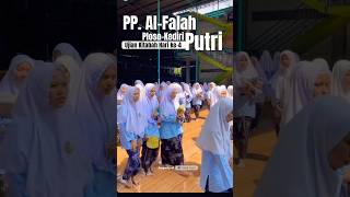 Download lagu Suasana Ujian Kitabah hari 4 pp alfalah putri ploso #khnurulhudadjazuli #ppalfalahploso #guskautsar mp3 Download lagu Suasana Ujian Kitabah hari 4 pp alfalah putri ploso #khnurulhudadjazuli #ppalfalahploso #guskautsar mp3