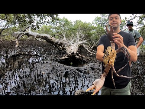 Zencrab 1 | Monster Mudcrab