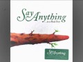 Yellow cat slash red cat by Say Anything