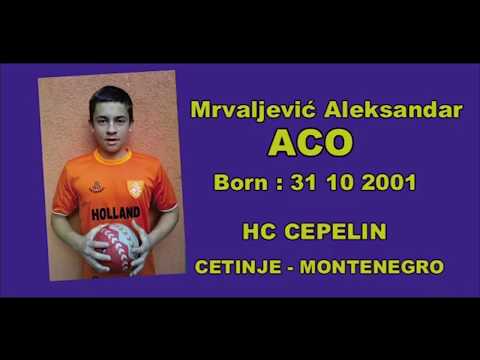 Mrvaljević Aleksandar Aco Handball Player Season 2013-2014