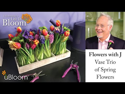Vase Trio of Spring Flowers- LIVE with J Schwanke