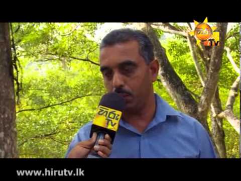 Hiru TV